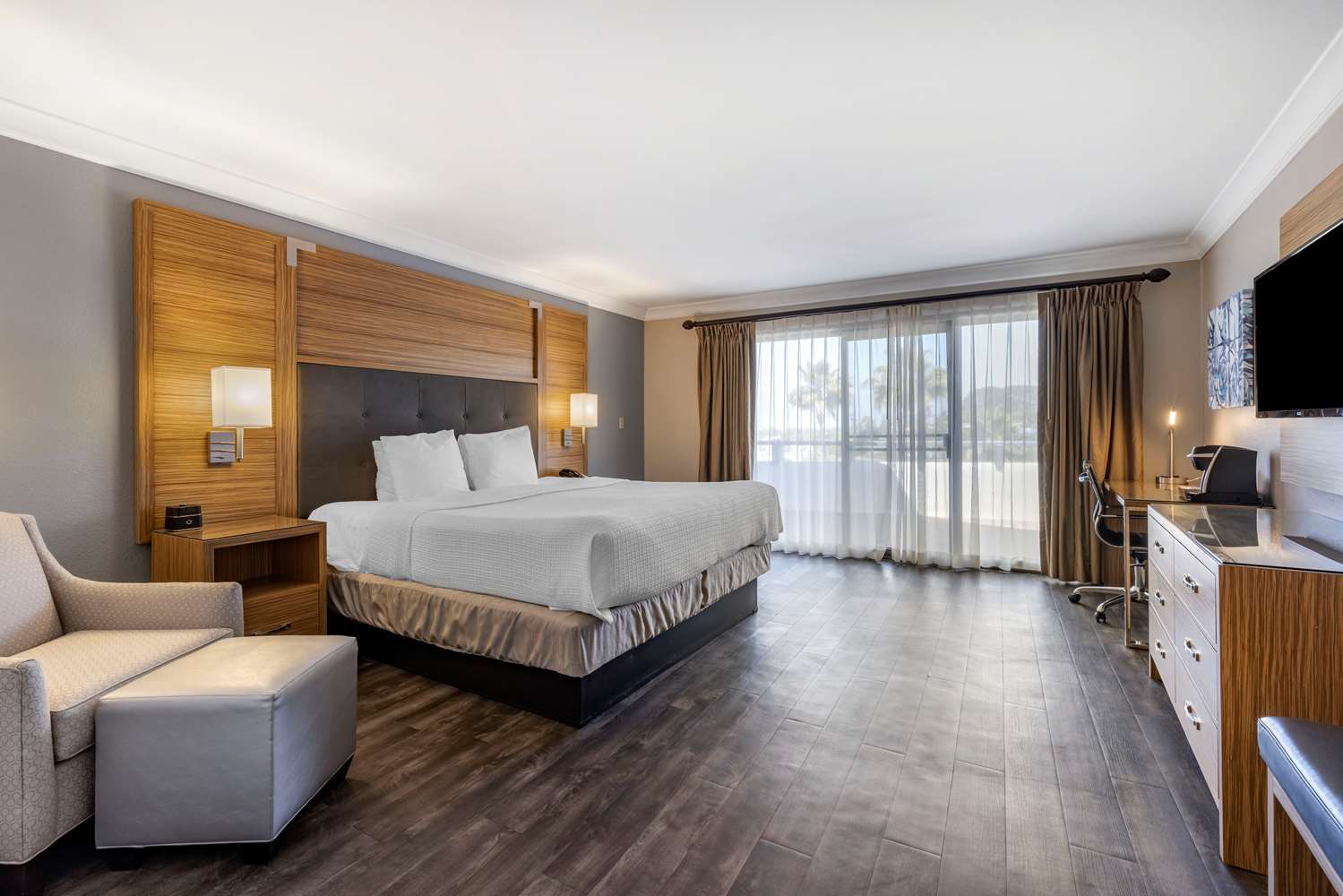 Park View King Room